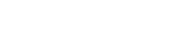 Razonet Contabilidade Digital